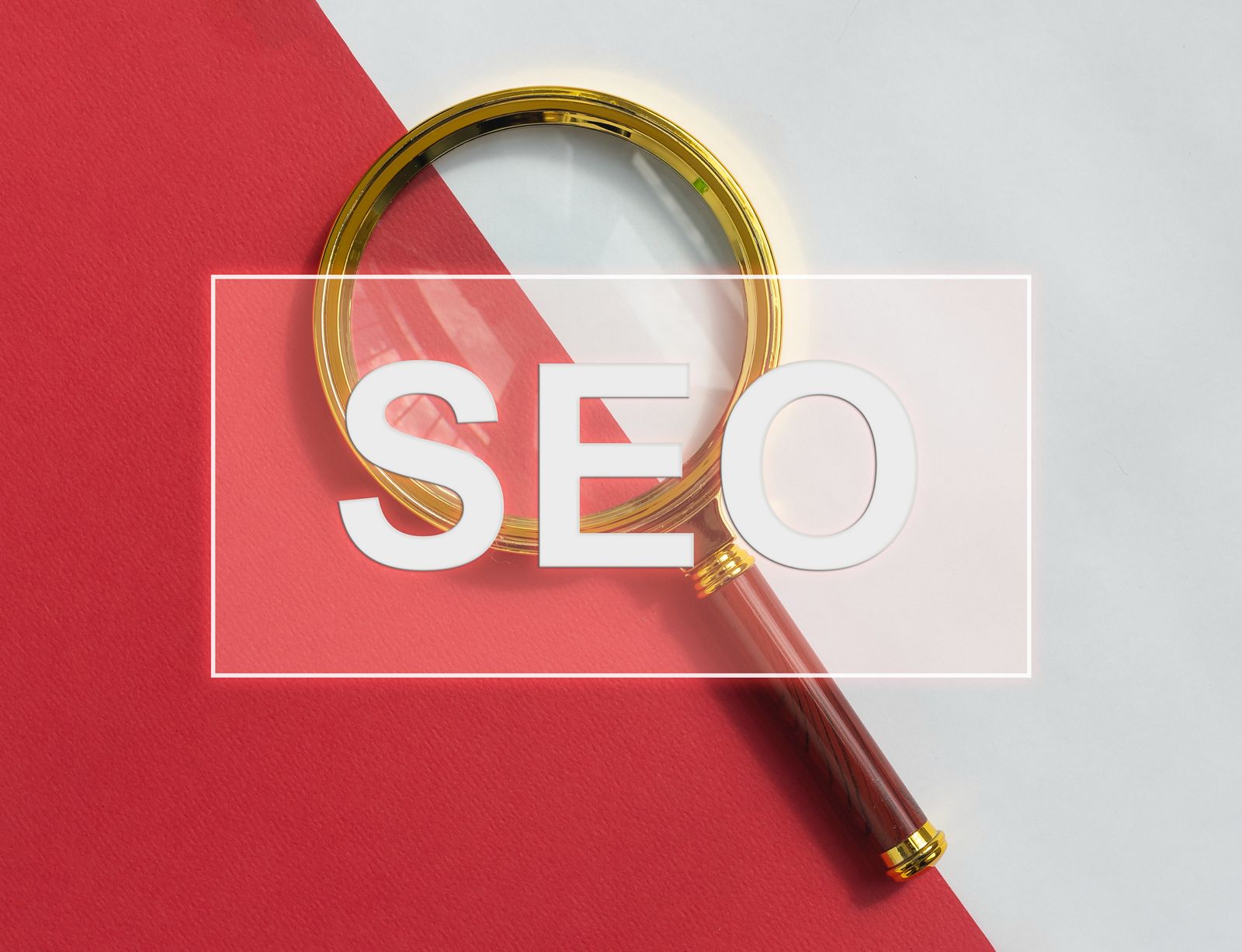 whatsapp image 2026 02 04 at 09.01.51 (1)